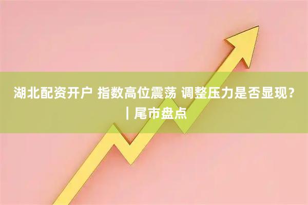 湖北配资开户 指数高位震荡 调整压力是否显现？｜尾市盘点