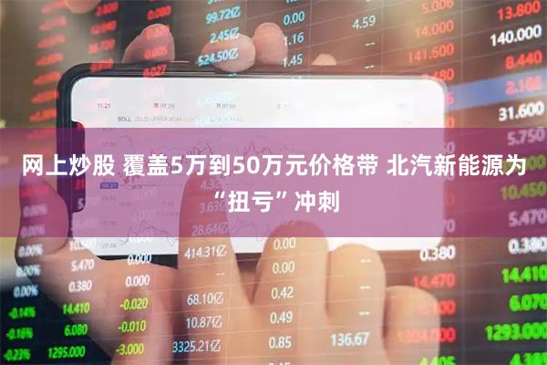 网上炒股 覆盖5万到50万元价格带 北汽新能源为“扭亏”冲刺